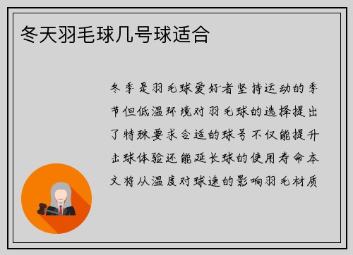 冬天羽毛球几号球适合